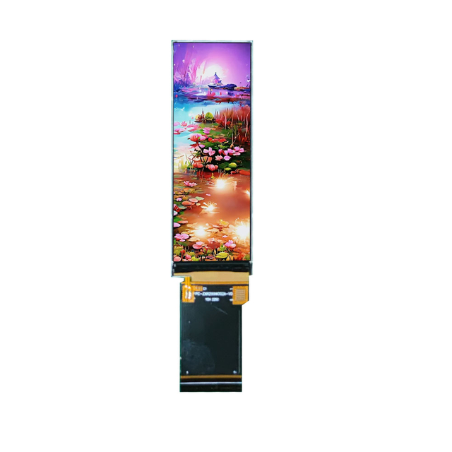 2.99" TFT Display