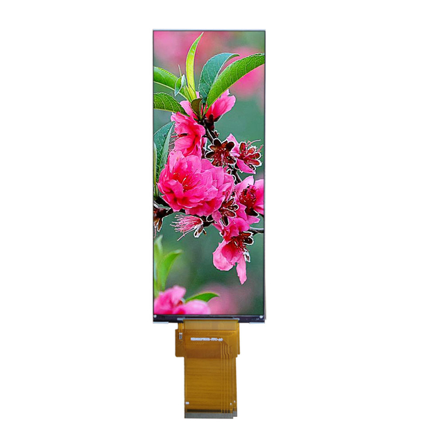 6.2" TFT display