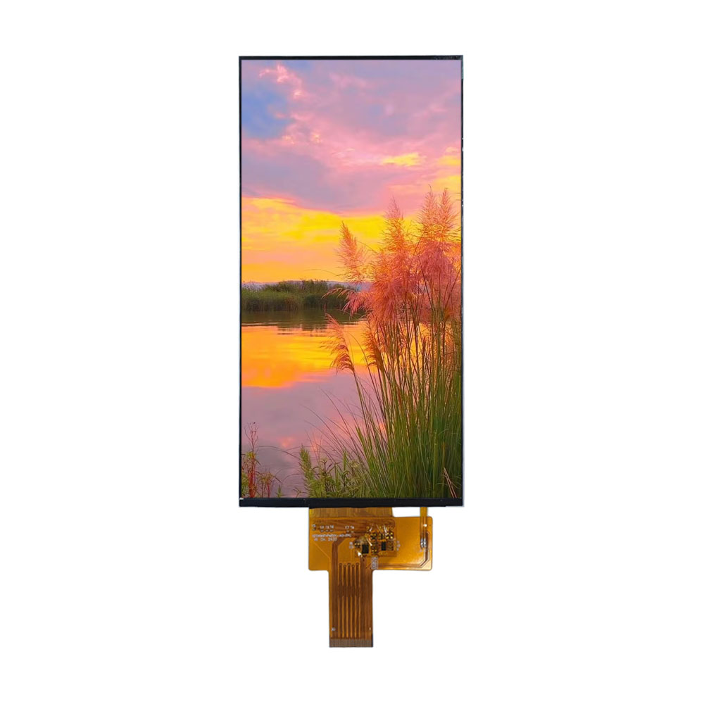 6.9" TFT display