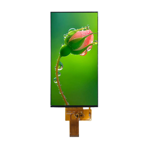 6.9" TFT display