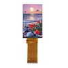 3.7" Transflective TFT Display